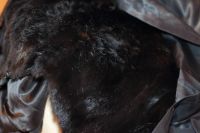 Лот: 4611976. Фото: 3. Куртка зимняя теплая со съёмным... Одежда, обувь, галантерея