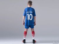 Лот: 12698024. Фото: 5. Футбольная форма Nike FC Chelsea...