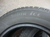 Лот: 14554396. Фото: 6. 175/65/14 Matador Sibir Ice (шипы...
