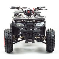 Лот: 25659300. Фото: 4. Квадроцикл MOTOLAND Wild 150. Красноярск