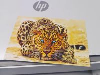 Лот: 22172194. Фото: 6. Принтер цветной МФУ hp 6075 заправлен...