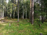 Лот: 11758333. Фото: 5. земельный участок п. Минино Новый...