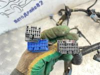 Лот: 25238035. Фото: 14. проводка двс Honda Accord CL3