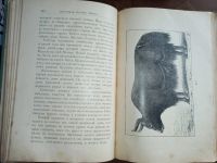 Лот: 25254321. Фото: 17. Лялина М.А. Путешествия Г.Н. Потанина...