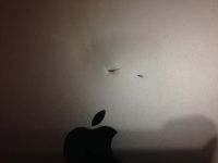 Лот: 7636639. Фото: 6. Apple iPad Air 64Gb WIFI + 4G...