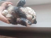 Лот: 17048851. Фото: 3. Копилки 2. Сувениры, подарки