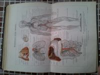 Лот: 3658196. Фото: 7. "Большая энциклопедия: Словарь...