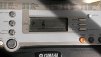 Лот: 9101384. Фото: 3. Синтезатор Yamaha PSR-E 203. Музыкальные инструменты и оборудование