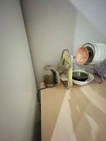 Лот: 23353247. Фото: 5. Студия на Мясокомбинате !