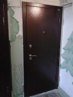Лот: 6661640. Фото: 7. дверь входная Эталон Томская