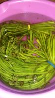 Лот: 10696759. Фото: 2. Папоротник соленый по ГОСТу. Продукты