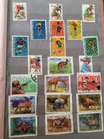 Лот: 8505619. Фото: 7. Марки продам два альбома всё на...