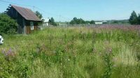 Лот: 13373601. Фото: 4. Участок 16 соток. Красноярск
