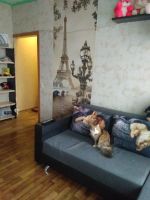 Лот: 12619103. Фото: 2. Продам квартиру. Продажа