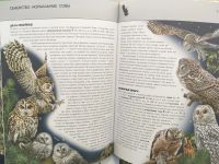 Лот: 11479580. Фото: 3. "Птицы. Полная энциклопедия... Литература, книги