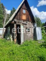 Лот: 25289806. Фото: 11. 1-комн. дача , СНТ Зелёный Ручей...