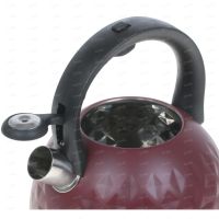 Лот: 17192088. Фото: 2. Чайник для плиты Polaris Elegia-3LG. Мелкая бытовая техника