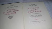 Лот: 9913076. Фото: 2. История моих бедствий, Пьер/Петр... Литература, книги