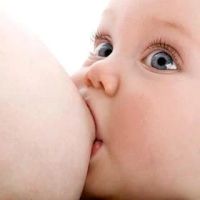 Лот: 3408338. Фото: 2. консультант по грудному вскармливанию... Кормление и уход, гигиена