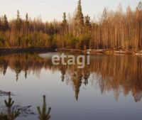 Лот: 25287802. Фото: 10. 2-комн. дом , деревня Минино деревня...