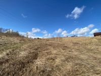 Лот: 25042948. Фото: 4. Земельный участок Солонцы 12 сот... Красноярск