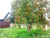 Лот: 5954687. Фото: 5. Дом 57 м2 на участке 40 сот. Срочно...