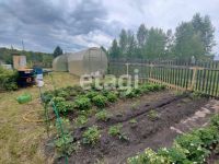 Лот: 25295567. Фото: 18. 4-комн. дача , ДНТ Энергетик ДНТ...