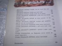 Лот: 25412396. Фото: 3. (209234)Дружков Юрий. Волшебная... Литература, книги