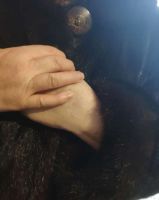 Лот: 21278349. Фото: 6. Шуба нутрия