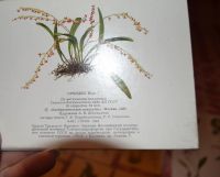Лот: 6360988. Фото: 3. Комплект открыток Орхидеи. Выпуск... Коллекционирование, моделизм