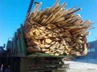 Лот: 3606598. Фото: 6. Горбыль (КАМАЗ-воровайка с доставкой...