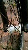Лот: 11110374. Фото: 7. Велосипед Norco 4hun