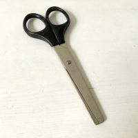 Лот: 6408601. Фото: 2. ✂ Ножницы Горизонт тупоконечные... Учёба (Школа, вуз)
