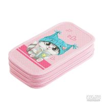 Лот: 14667756. Фото: 2. Пенал 3 секции 105 x 190 мм, ламинированный... Учёба (Школа, вуз)