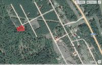 Лот: 15588995. Фото: 3. Земельный участок с деревьями... Недвижимость