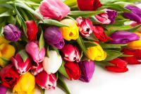 Лот: 9125086. Фото: 14. ТЮЛьПАНЫ. ОПТ, розница 8 Марта...