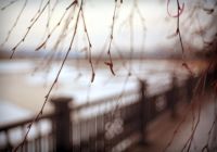 Лот: 6431918. Фото: 2. Meyer-Optik Gorlitz Trioplan 50... Фото, видеокамеры, оптика