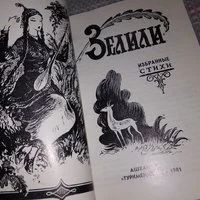 Лот: 5341220. Фото: 2. Зелили. Избранные стихи, Зелили... Литература, книги