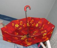 Лот: 1796441. Фото: 2. Женский зонт Листопад. Аксессуары