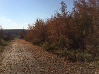 Лот: 5459923. Фото: 2. Продам землю ИЖС, центр. Вода. Продажа