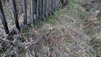 Лот: 9457050. Фото: 7. Земельный участок Сухая балка...