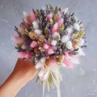 Лот: 15293401. Фото: 2. злак Заячий хвостик. Лагурус сухоцвет... Семена, рассада, садовые растения