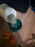 Лот: 20755770. Фото: 2. Катушка на удочку. Рыбалка