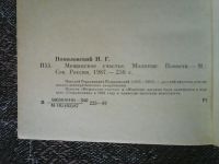 Лот: 16333594. Фото: 4. Н. Г. Помяловский. Мещанское счастье...
