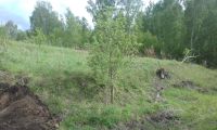 Лот: 9742224. Фото: 4. Участок 15 сот. в Челноково. Красноярск