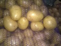 Лот: 16435850. Фото: 3. Картофель 10 литров ведро. Красноярск