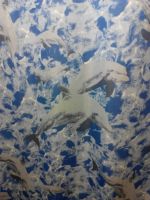 Лот: 8653319. Фото: 2. Комплект для ванной. Штанга, кольца... Хозтовары