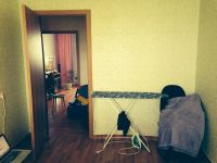 Лот: 4015019. Фото: 6. Продам 2к Зеленая Роща 3 Августа