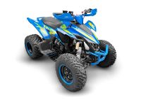 Лот: 25740259. Фото: 4. Квадроцикл RACER Typhoon 250. Красноярск