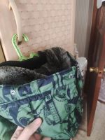 Лот: 23972576. Фото: 2. Пуховик в отличном состоянии. Одежда, обувь, галантерея